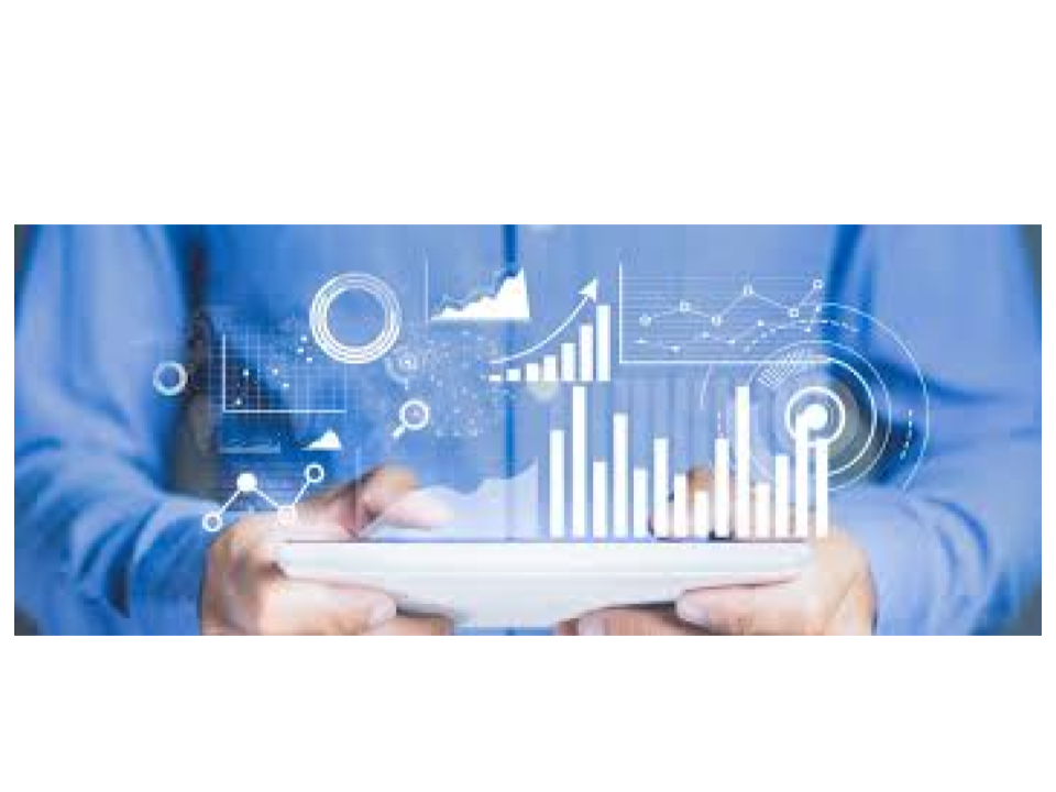 Data & Analytics / Business Intelligence